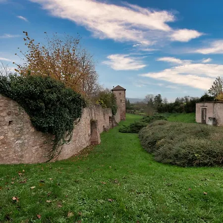 Holiday home S'huesli - Maison Vigneronne Au Coeur Du Vignoble *