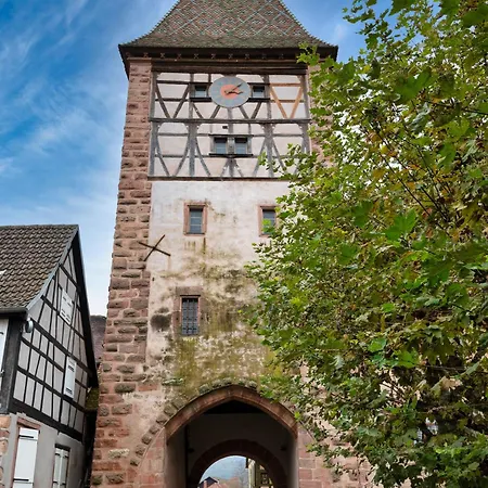 S'huesli - Maison Vigneronne Au Coeur Du Vignoble Bergheim