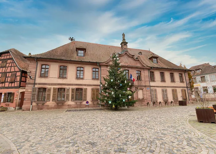 Holiday home S'huesli - Maison Vigneronne Au Coeur Du Vignoble Bergheim