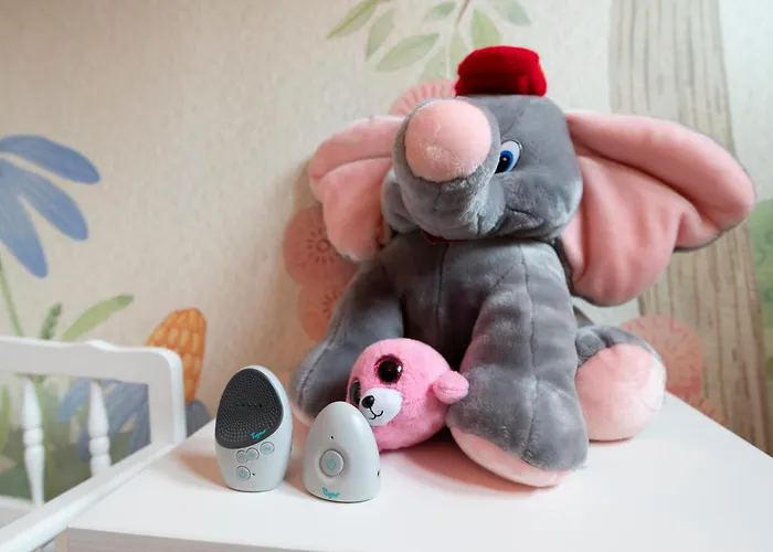 S'huesli - Maison Vigneronne Au Coeur Du Vignoble * Bergheim